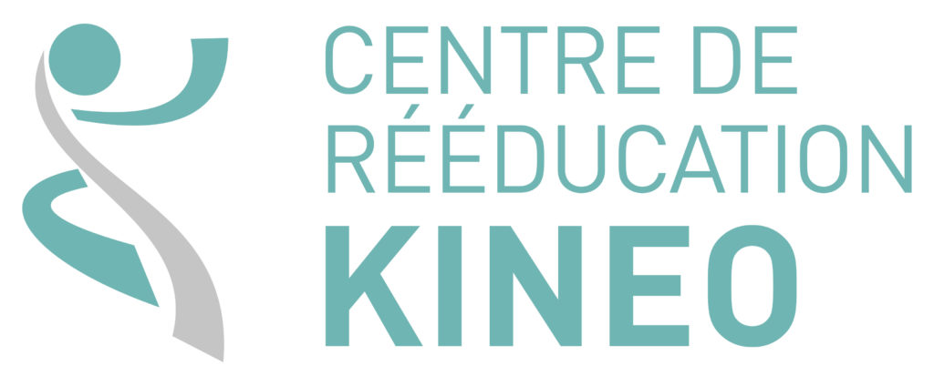 Logo Kineo final Logo Kineo final