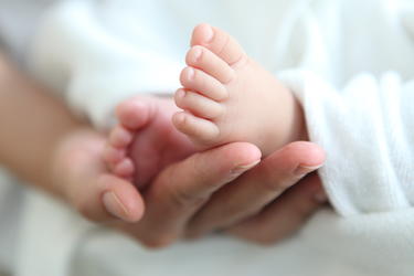 Newborn baby's feet in parent hand